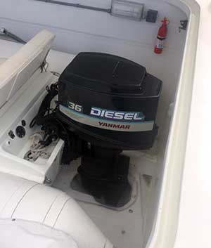 Expedition Catamaran Outboard Flush Well